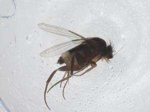  ( - CBG-A54221-E10)  @11 [ ] CreativeCommons - Attribution Share - Alike (2024) Centre for Biodiversity Genomics Centre for Biodiversity Genomics