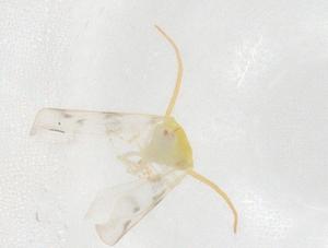  ( - CBG-B21187-H02)  @11 [ ] CreativeCommons - Attribution Share - Alike (2025) Centre for Biodiversity Genomics Centre for Biodiversity Genomics