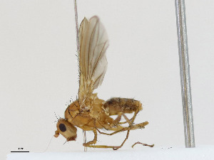  ( - CBG-A16663-E01)  @11 [ ] CreativeCommons - Attribution Share-Alike (2023) CBG Photography Group Centre for Biodiversity Genomics