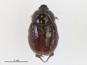  ( - CBG-A24206-B02)  @11 [ ] CreativeCommons - Attribution Share - Alike (2023) CBG Photography Group Centre for Biodiversity Genomics