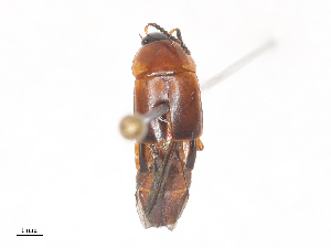  ( - CBG-A44327-C10)  @11 [ ] CreativeCommons - Attribution Share - Alike (2024) CBG Photography Group Centre for Biodiversity Genomics