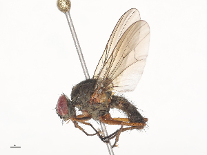  ( - CBG-A45176-B06)  @11 [ ] CreativeCommons - Attribution Share - Alike (2024) CBG Photography Group Centre for Biodiversity Genomics