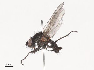  ( - CBG-A45209-A03)  @11 [ ] CreativeCommons - Attribution Share - Alike (2024) CBG Photography Group Centre for Biodiversity Genomics