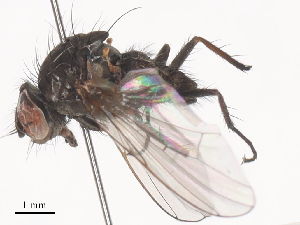  ( - CBG-A45209-F11)  @11 [ ] CreativeCommons - Attribution Share - Alike (2024) CBG Photography Group Centre for Biodiversity Genomics