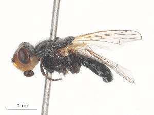  ( - CBG-A46910-E08)  @11 [ ] CreativeCommons - Attribution Share - Alike (2024) CBG Photography Group Centre for Biodiversity Genomics