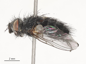  ( - CBG-A51914-D11)  @11 [ ] CreativeCommons - Attribution Share - Alike (2024) CBG Photography Group Centre for Biodiversity Genomics