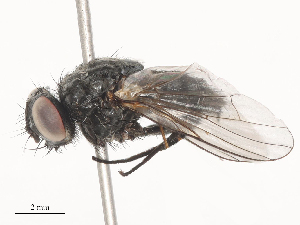  ( - CBG-A51864-E11)  @11 [ ] CreativeCommons - Attribution Share - Alike (2024) CBG Photography Group Centre for Biodiversity Genomics