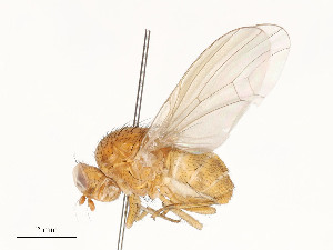  ( - CBG-A51997-D07)  @11 [ ] CreativeCommons - Attribution Share - Alike (2024) CBG Photography Group Centre for Biodiversity Genomics