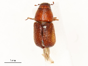  ( - CBG-A54397-E10)  @11 [ ] CreativeCommons - Attribution Share - Alike (2024) CBG Photography Group Centre for Biodiversity Genomics