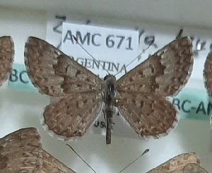  ( - AMC671)  @11 [ ] c  Diego Dolibaina Universidade Federal do Parana