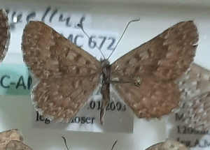  ( - AMC672)  @11 [ ] c  Diego Dolibaina Universidade Federal do Parana