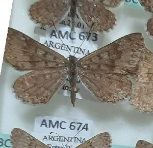  ( - AMC673)  @11 [ ] c  Diego Dolibaina Universidade Federal do Parana