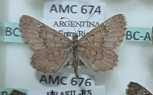  ( - AMC674)  @11 [ ] c  Diego Dolibaina Universidade Federal do Parana