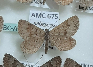  ( - AMC675)  @11 [ ] c  Diego Dolibaina Universidade Federal do Parana