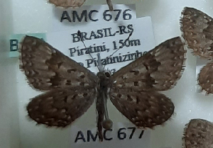  ( - AMC676)  @11 [ ] c  Diego Dolibaina Universidade Federal do Parana