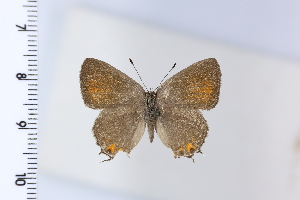  ( - DRD1922)  @11 [ ] c  Diego Dolibaina Universidade Federal do Parana