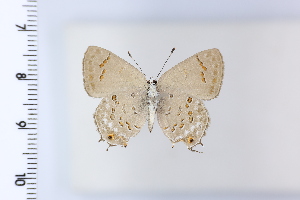  ( - DRD1922)  @11 [ ] c  Diego Dolibaina Universidade Federal do Parana