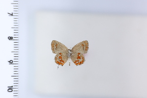  ( - DRD1924)  @11 [ ] c  Diego Dolibaina Universidade Federal do Parana