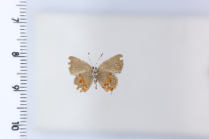  ( - DRD1925)  @11 [ ] c  Diego Dolibaina Universidade Federal do Parana