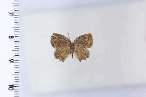  ( - DRD1926)  @11 [ ] c  Diego Dolibaina Universidade Federal do Parana