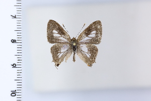  ( - DRD1963)  @11 [ ] c  Diego Dolibaina Universidade Federal do Parana