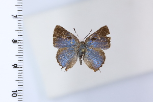  ( - DRD1965)  @11 [ ] c  Diego Dolibaina Universidade Federal do Parana