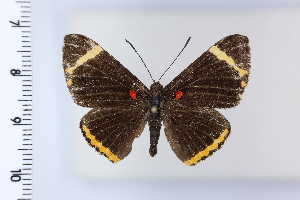  ( - DRD1985)  @11 [ ] c  Diego Dolibaina Universidade Federal do Parana