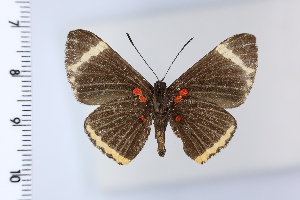  ( - DRD1985)  @11 [ ] c  Diego Dolibaina Universidade Federal do Parana