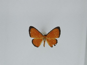  ( - DRD802)  @11 [ ] c (2024) Diego Dolibaina UFPR