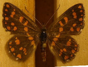  ( - DZ50.962)  @11 [ ] c  Diego Dolibaina Universidade Federal do Paraná