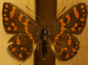  ( - DZ51.112)  @11 [ ] c  Diego Dolibaina Universidade Federal do Paraná