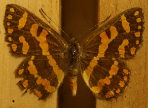  ( - DZ51.132)  @11 [ ] c  Diego Dolibaina Universidade Federal do Paraná