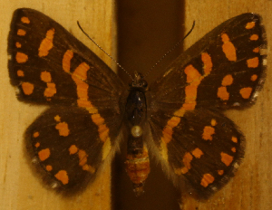  ( - DZ51.252)  @11 [ ] c  Diego Dolibaina Universidade Federal do Paraná