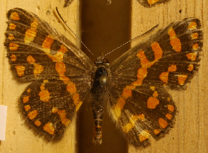  ( - DZ51.313)  @11 [ ] c  Diego Dolibaina Universidade Federal do Paraná