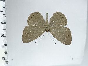  ( - DZ64.561)  @11 [ ] c (2024) Diego Dolibaina UFPR