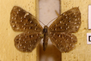  ( - DZ73.588)  @11 [ ] c  Diego Dolibaina Universidade Federal do Paraná