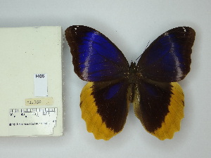  ( - DZ_21.159)  @11 [ ] c (2025) Suianne Cajé UFPR