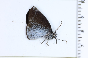  ( - DRD1481)  @11 [ ] c  Diego Dolibaina Universidade Federal do Parana