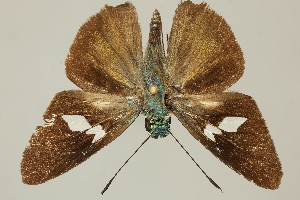  ( - DZ75.447)  @11 [ ] c (2025) UFPR UFPR