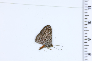  ( - DRD1125)  @11 [ ] c  Diego Dolibaina Universidade Federal do Parana