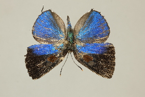  ( - DZ75.226)  @11 [ ] c (2025) Diego Dolibaina UFPR