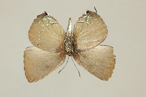  ( - DZ75.226)  @11 [ ] c (2025) Diego Dolibaina UFPR