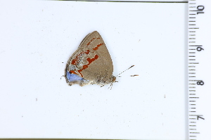  ( - DRD1742)  @11 [ ] c  Diego Dolibaina Universidade Federal do Parana