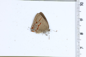  ( - DRD1743)  @11 [ ] c  Diego Dolibaina Universidade Federal do Parana