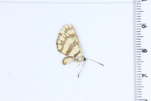  ( - DRD1789)  @11 [ ] c  Diego Dolibaina Universidade Federal do Parana