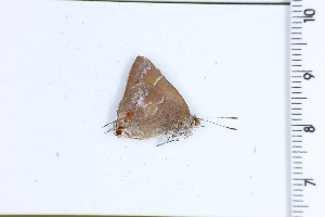  ( - DRD1751)  @11 [ ] c  Diego Dolibaina Universidade Federal do Parana