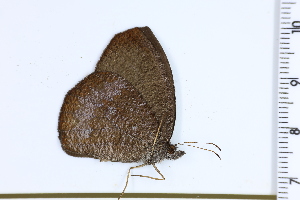  ( - DRD1210)  @11 [ ] c  Diego Dolibaina Universidade Federal do Parana