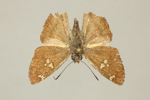  ( - DZ65.089)  @11 [ ] c (2025) UFPR UFPR