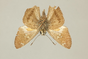  ( - DZ65.089)  @11 [ ] c (2025) UFPR UFPR