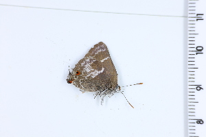  ( - DRD1081)  @11 [ ] c  Diego Dolibaina Universidade Federal do Parana